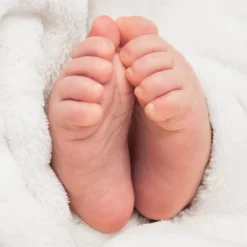 Sweet Jojo Designs Gender Neutral Baby Milestone Blanket Desert Sun Taupe And Ivory 9 Sweet Jojo Designs Gender Neutral Baby Milestone Blanket Desert Sun Taupe And Ivory -Sweets Jojo Shop GUEST 222137ab 9c49 465a 9a9d 5784aab08b00 1