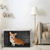 Sweet Jojo Designs Boy, Girl, Unisex/Gender Neutral Dog Crate Kennel Cover 36in. Corgi Cartoon Puppy Orange And White