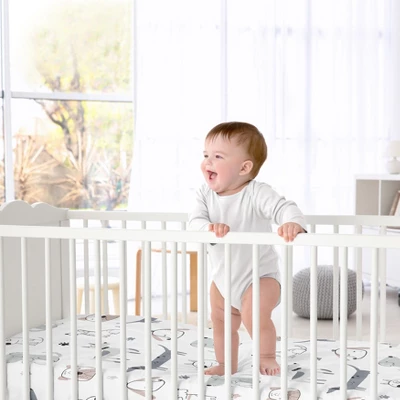 Sweets Jojo Shop -Sweets Jojo Shop GUEST 971ab254 7f43 4c69 9df6 6a59dc97b2b6 2