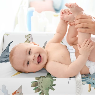 Sweet Jojo Designs Boy Changing Pad Sheet Watercolor Dinosaur Dino Multicolor 5 Sweet Jojo Designs Boy Changing Pad Sheet Watercolor Dinosaur Dino Multicolor - Image 3